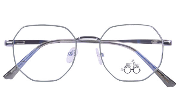 Grey Steel Full Rim Hexagonal Eyeglasses